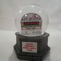 Custom Snow Globe/ Water Globe - 2D Arch Image (Imprinted Glass)